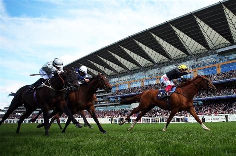 royal ascot gold cup tips|Royal Ascot day three tips: Don't overcomplicate Gold Cup, back .